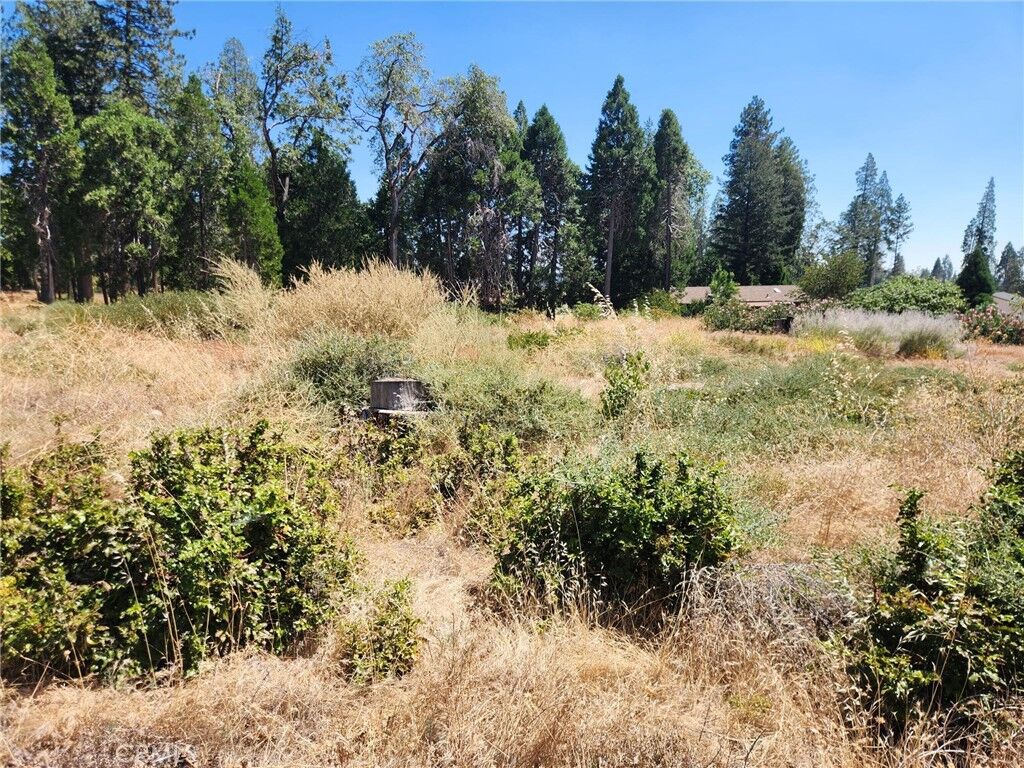 Property Photo: 13744 W Park CA 95954