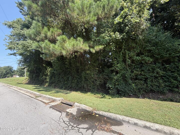 Property Photo:  256 Sylvester Street  NC 28574 