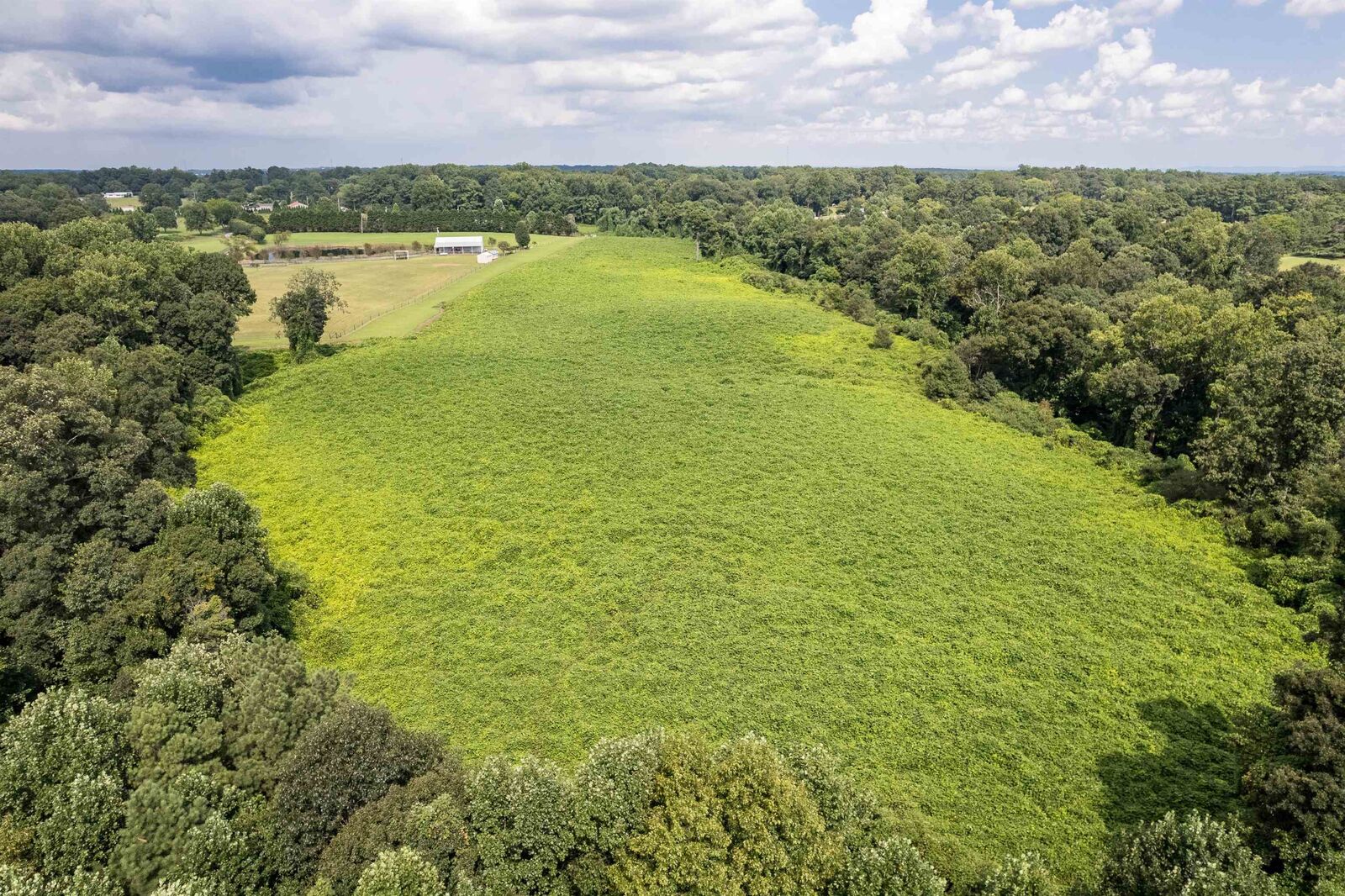Property Photo:  350 Co Rd 405  AL 35057 