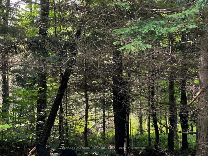 Property Photo:  Part Lot 25 Concession 1 N/A  ON P1L 1X1 