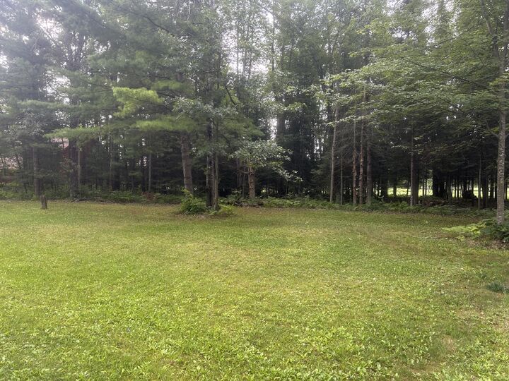 Property Photo:  20935 East Riverside Drive  MI 49746 