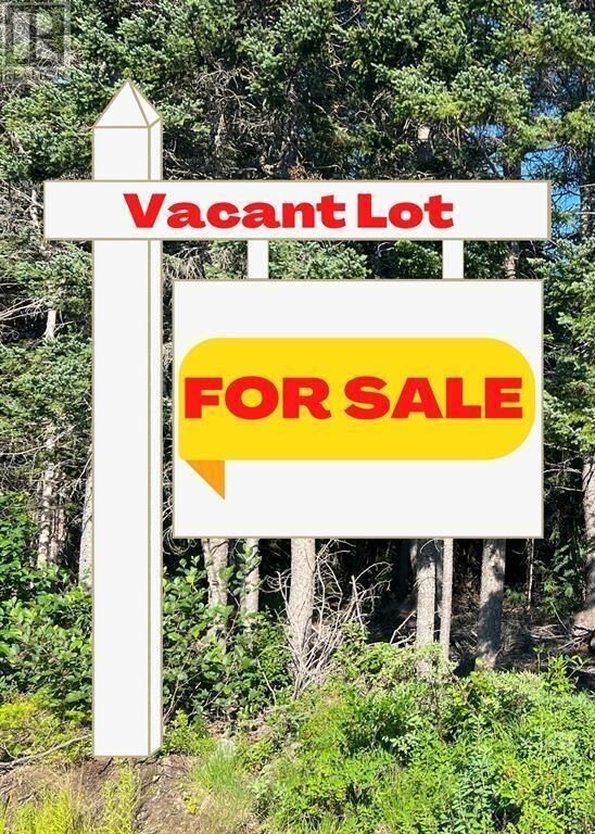 Property Photo:  0 Martins Pond Road  NL A0B 2A0 
