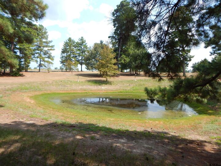 Property Photo: 5000 Glenwood Dr TX 75645