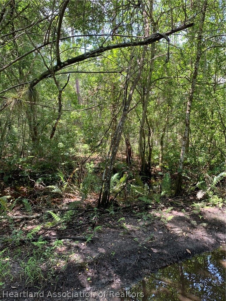Property Photo:  7001 Aster Place  FL 33875 