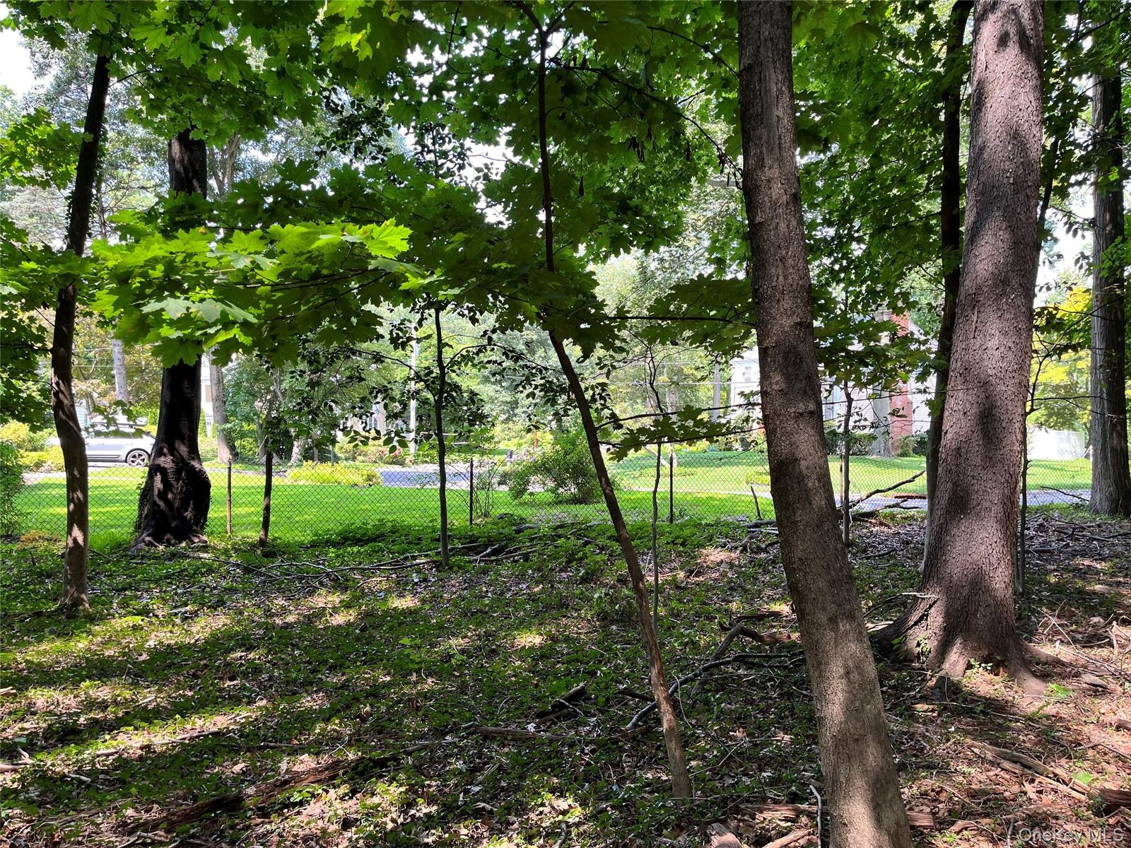 Property Photo: Forest Avenue NY 10801