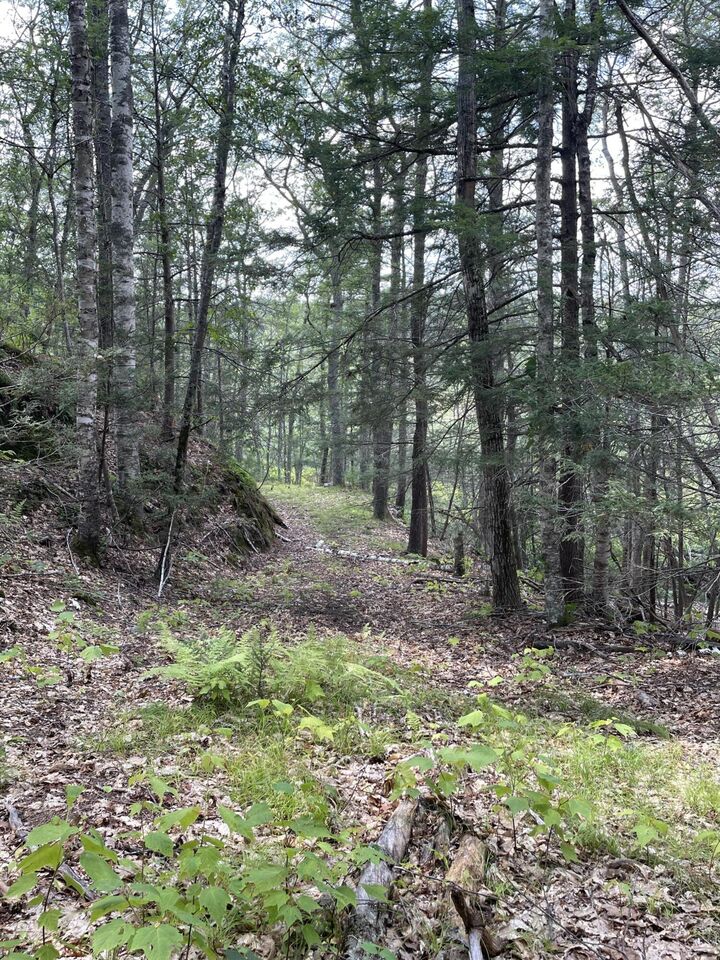 Property Photo:  M3 L27-6 Arrowsic Road  ME 04530 