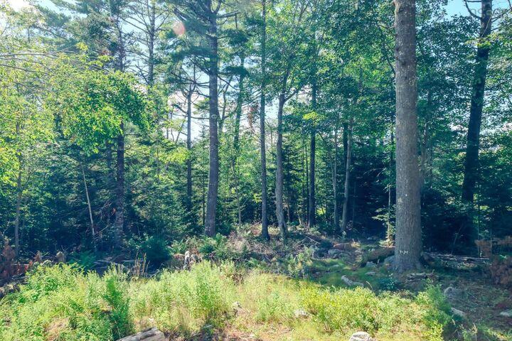 Property Photo:  75 Annapolis Road  NS B0T 1W0 