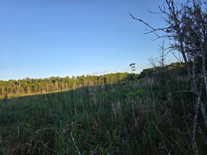 Property Photo:  Tbd (Lot 2) 190th Street  MN 56621 