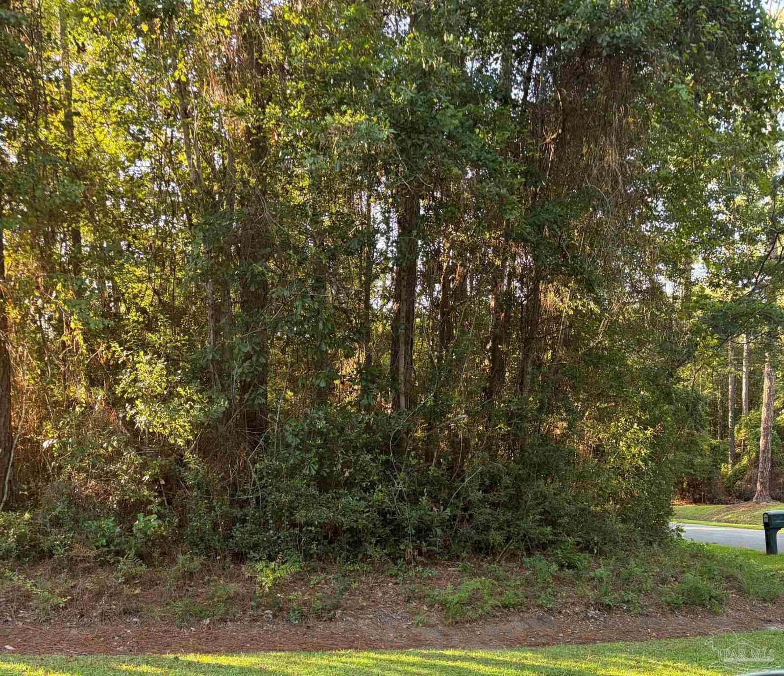 Property Photo: 301 Deerfoot Ln FL 32533