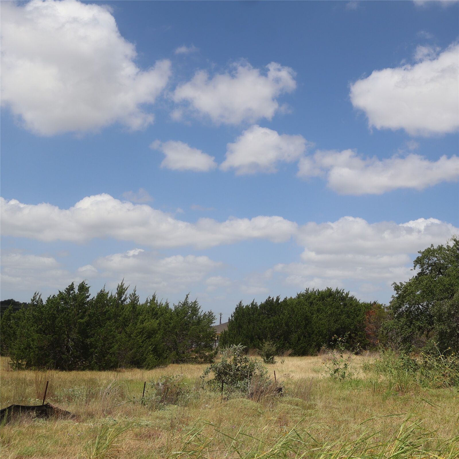 Property Photo:  105 Mesones Road  TX 76527 
