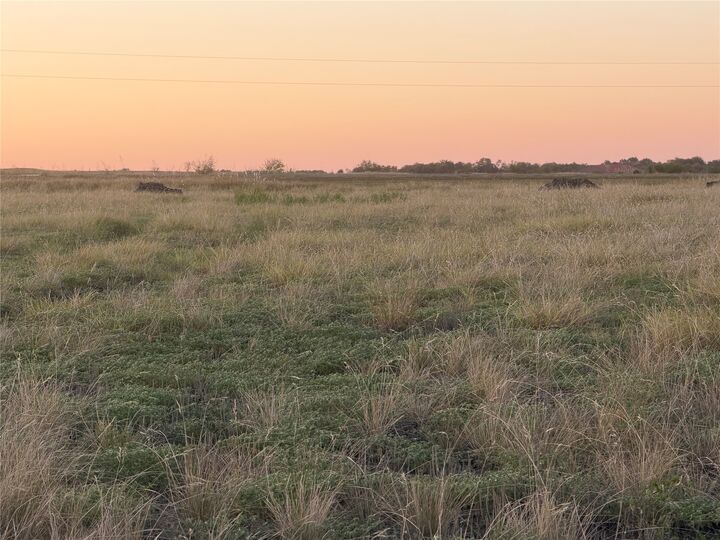 Property Photo: 221 Tigerlily Way TX 76578