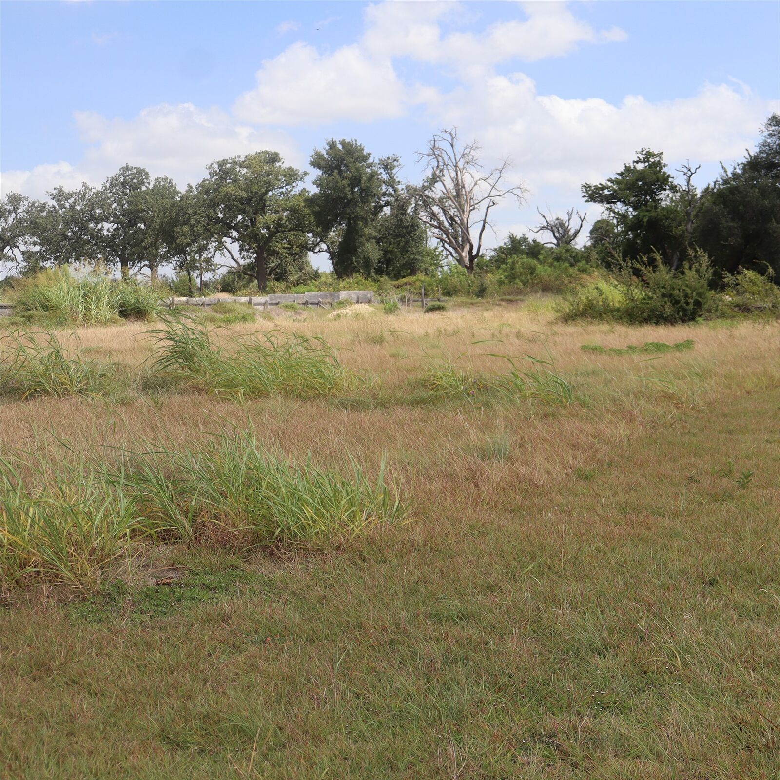 Property Photo: 104 Mesones Road TX 76527