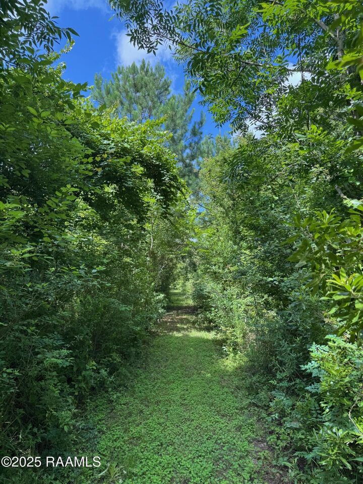 Property Photo:  Tbd Lot 4 Frozard Road 4  LA 70512 