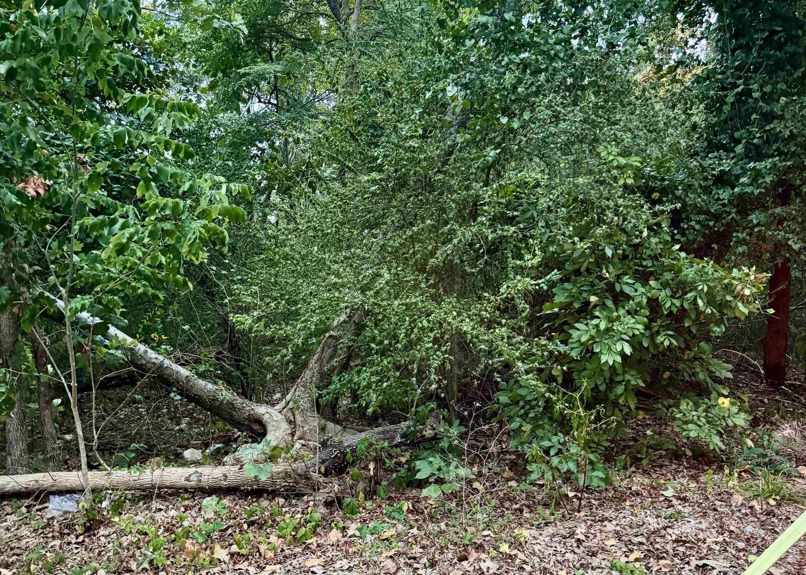 Property Photo:  Lot 23 Lee Summit Dr.  AR 72202 