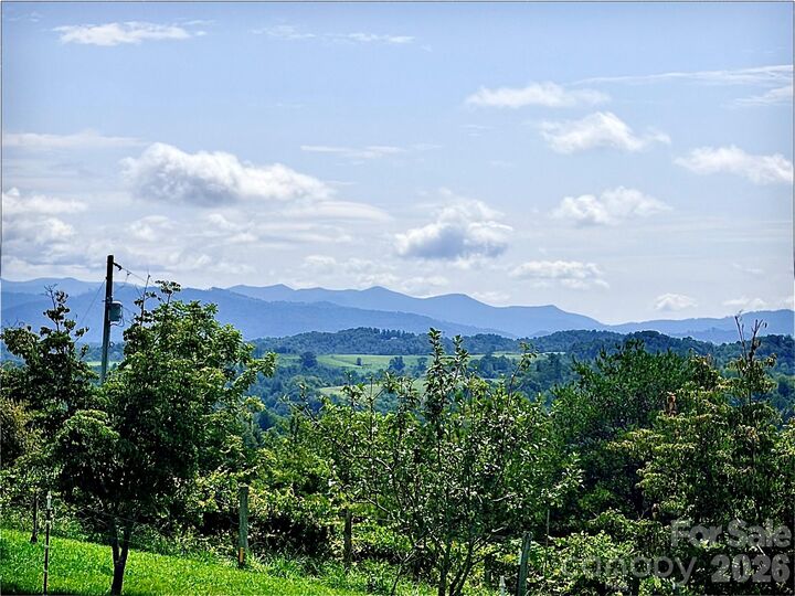 Property Photo:  194 Cabin Hollow Drive  NC 28753 