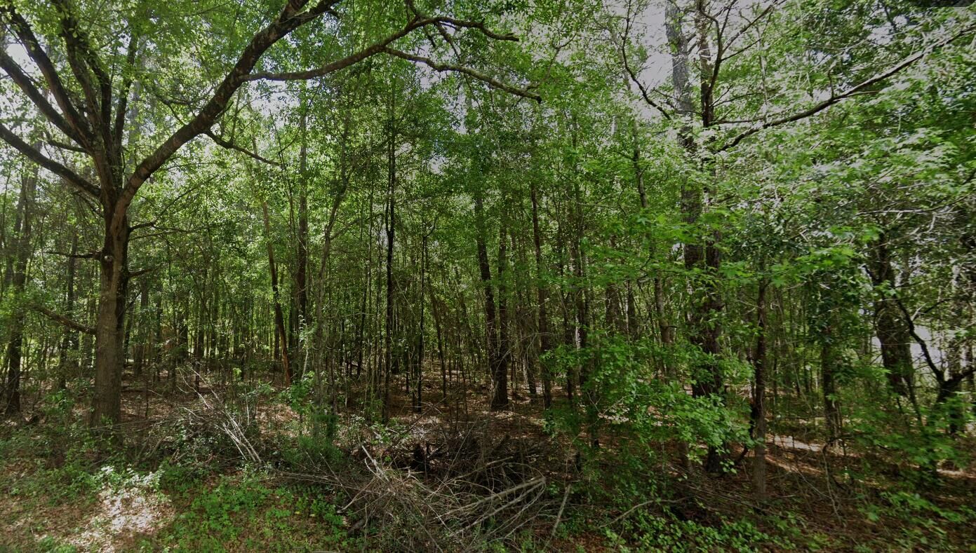 Property Photo: Tbd Long Branch Road SC 29056