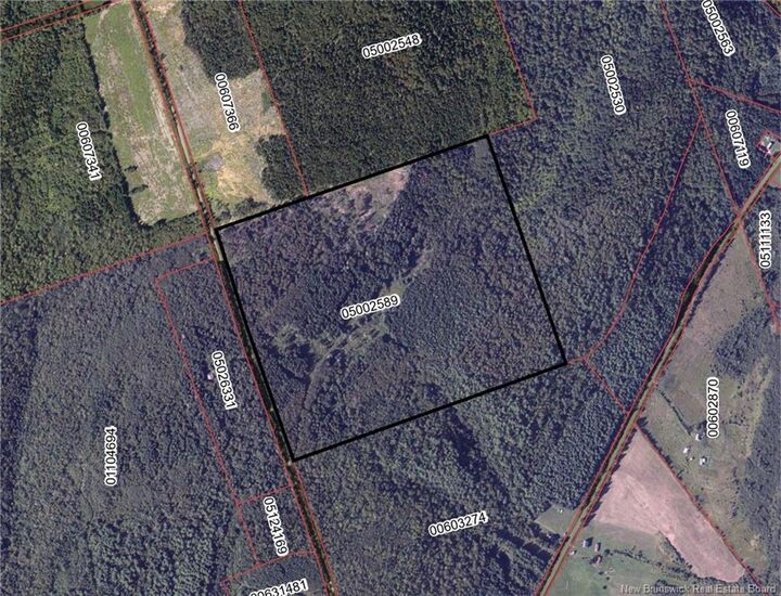 Lot South Gowland Mountain — photo 1