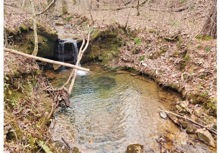 Property Photo:  277 Tippens Road  GA 30114 
