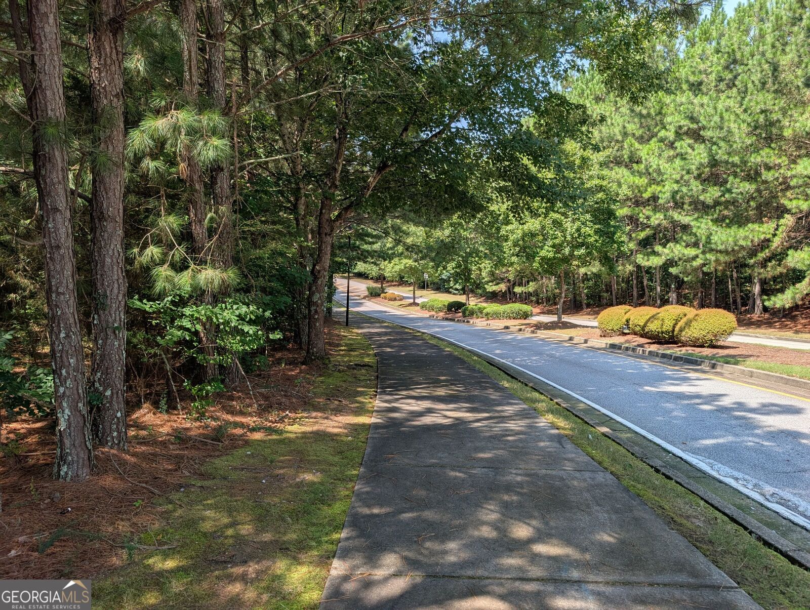 Property Photo:  0 Brookmont Parkway  GA 30135 