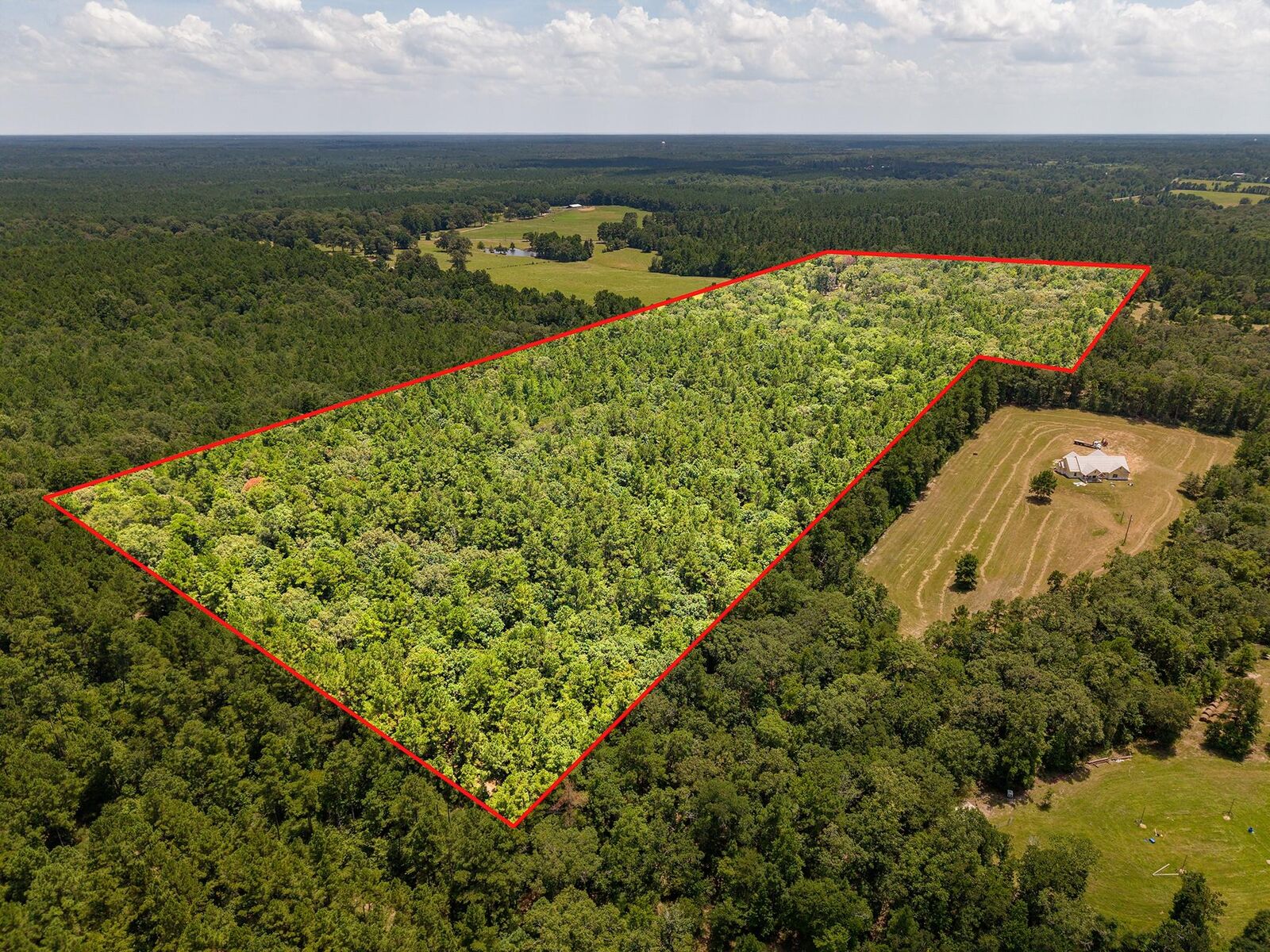 Property Photo: 1647 Whitehead TX 75901