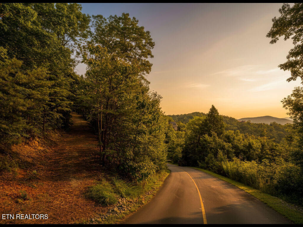 Property Photo: Lot 127E Settlers View Lane TN 37862
