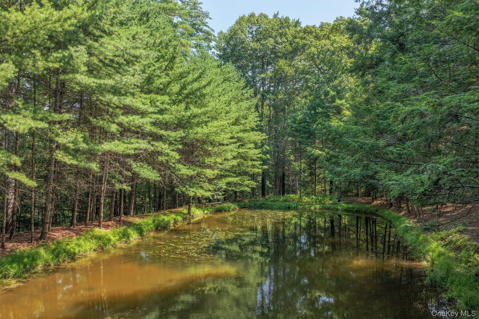Property Photo:  Lot 55.1 Swanerbury Road  NY 12737 
