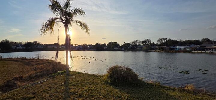 Property Photo: 34 Wisteria Drive FL 32713