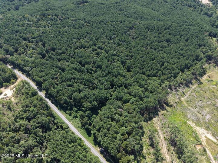 Property Photo: 1669 Burt Jordan Road MS 39653