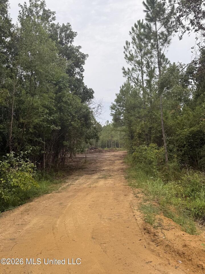 Property Photo: Nhn Dap Road MS 39562