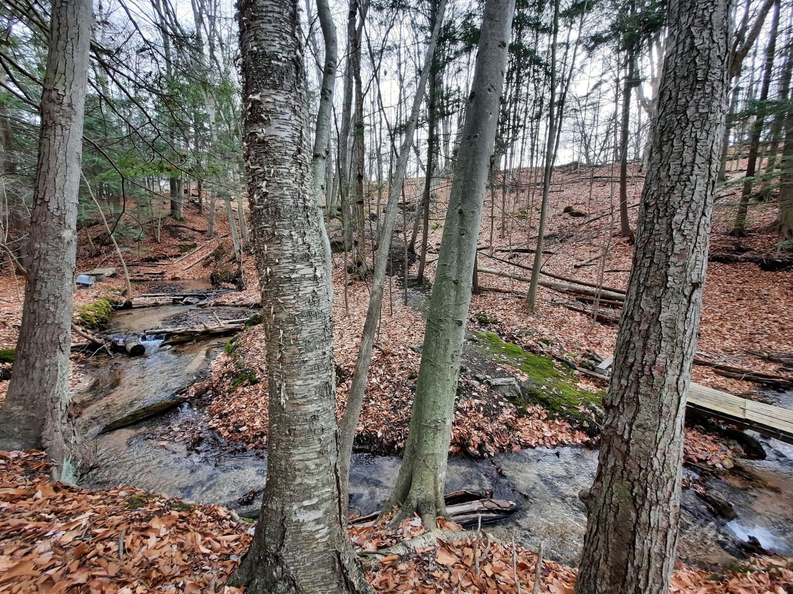 Property Photo: 8 Acres, Third Street MI 49675