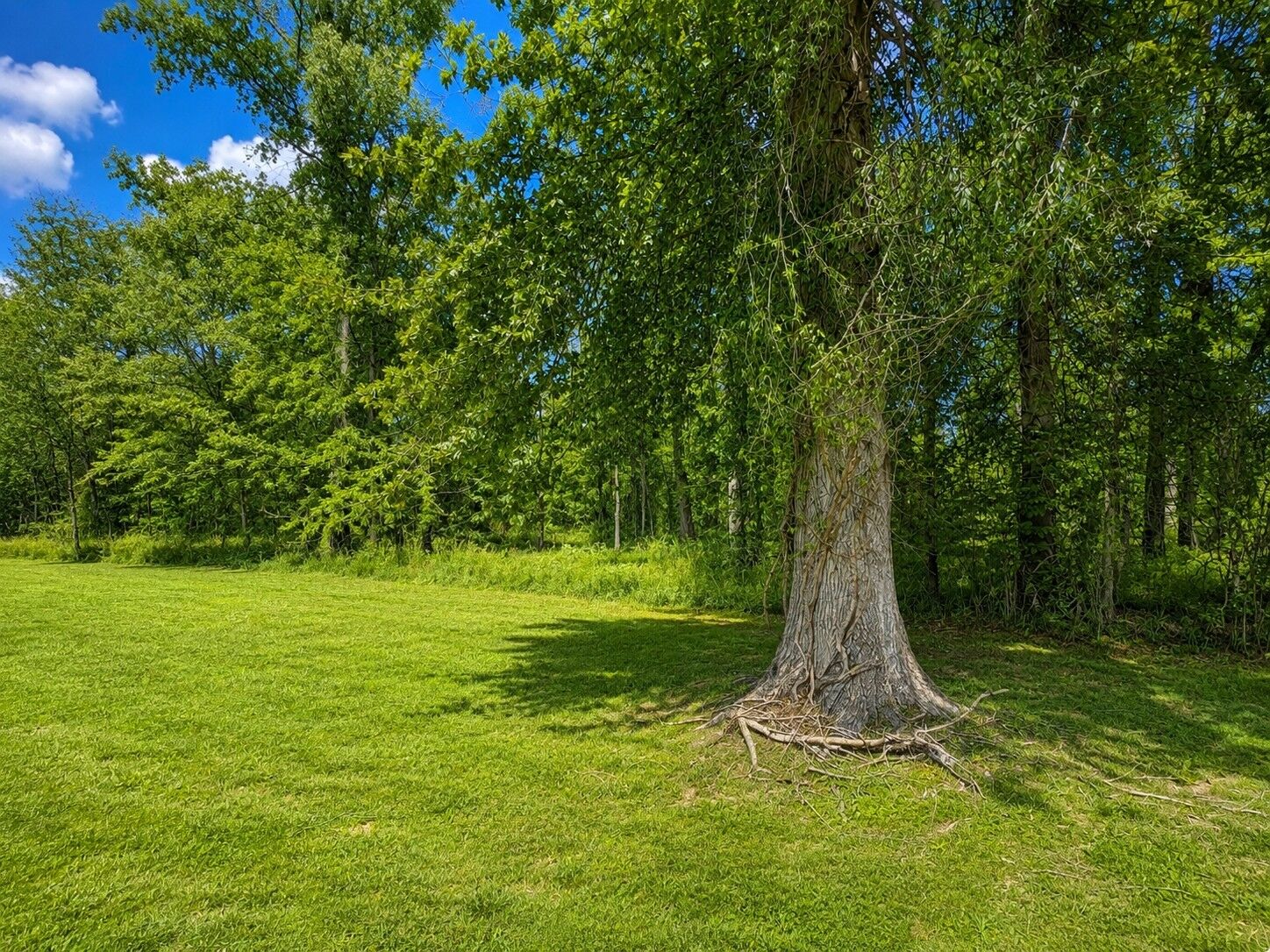 Property Photo:  0 Batchelor St  TN 37043 