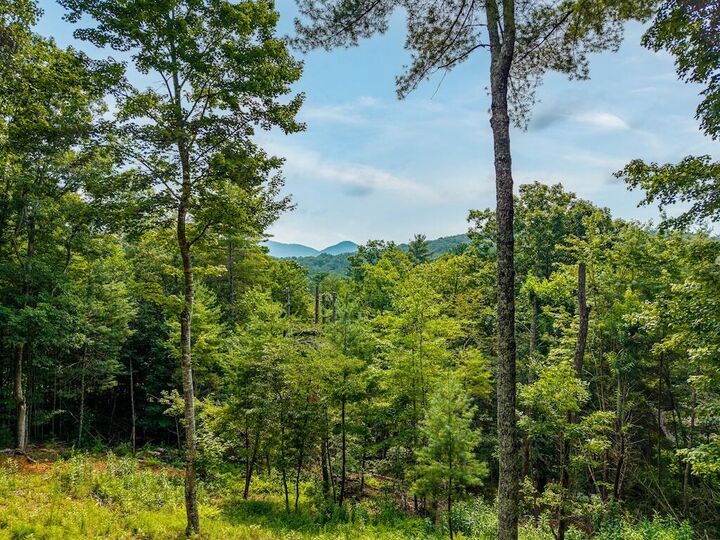 Property Photo:  120 Bell Camp Ridge Rd  GA 30513 