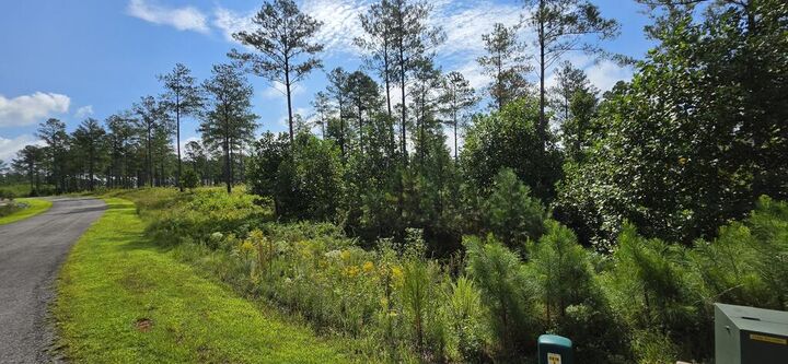 Property Photo:  Lot 65 High River Landing  GA 30540 