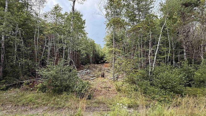Property Photo:  Lot S-2 Miner Meadow Road  NS B4P 2R2 