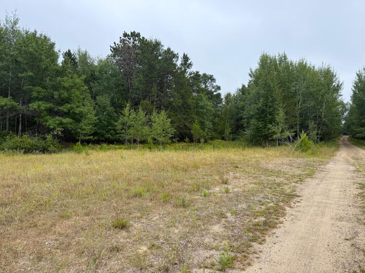 Property Photo: 10082 Legionville Road MN 56401