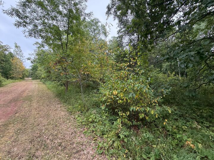 Property Photo: Lot 2 Whitetail MN 56441