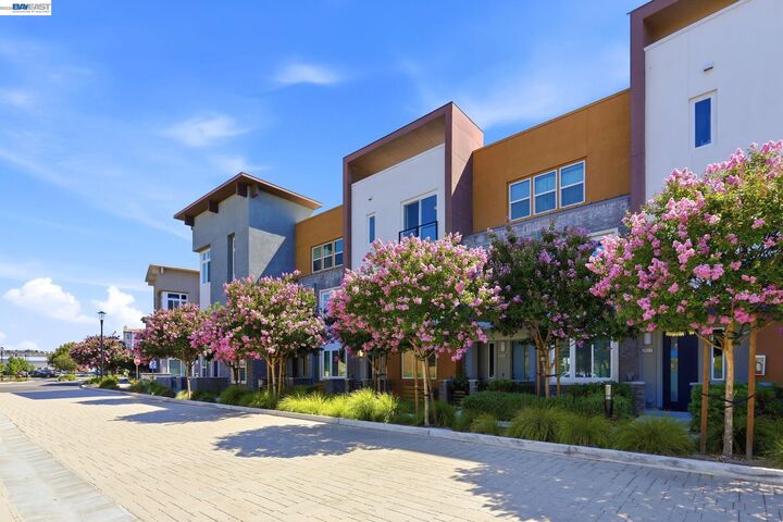Property Photo:  3943 Summit Rd  CA 94568 