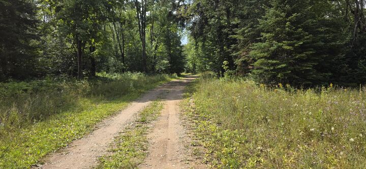 Property Photo:  Tbd Grass Lake Trl  MI 49780 