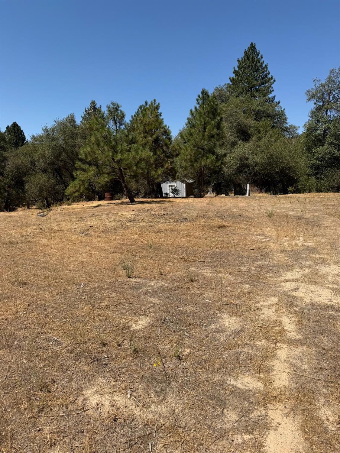 Property Photo: 60 Klettes Pride Way CA 93643