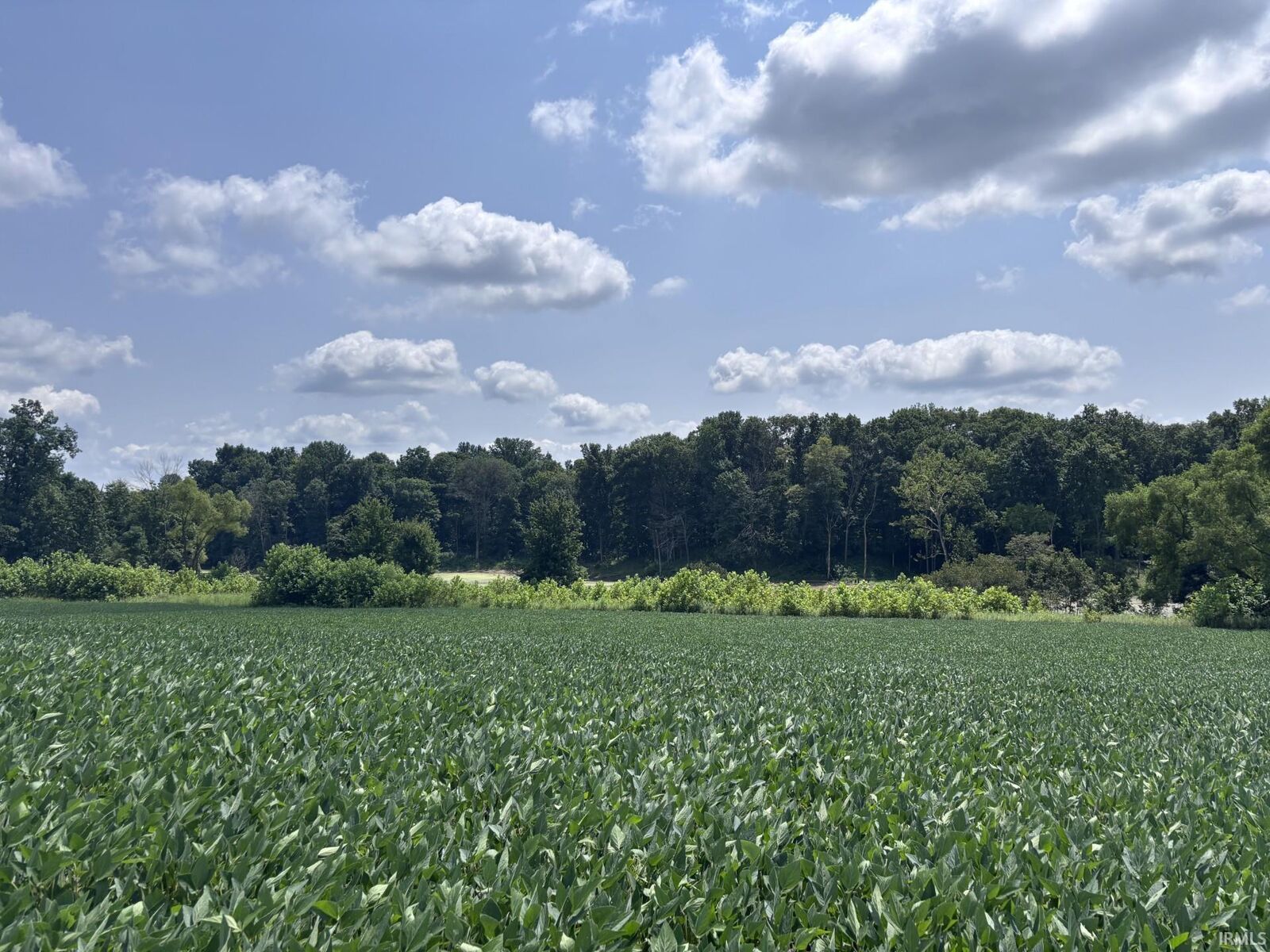 Property Photo:  4436 E County Road 1050 N  IN 47850 