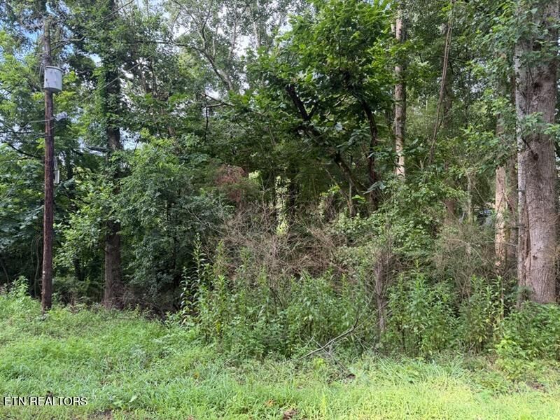 Property Photo: Black Jack Rd TN 37854