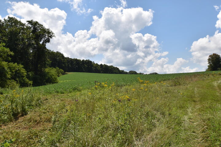 Property Photo: 0 Beechy Creek Road 0 KY 41093