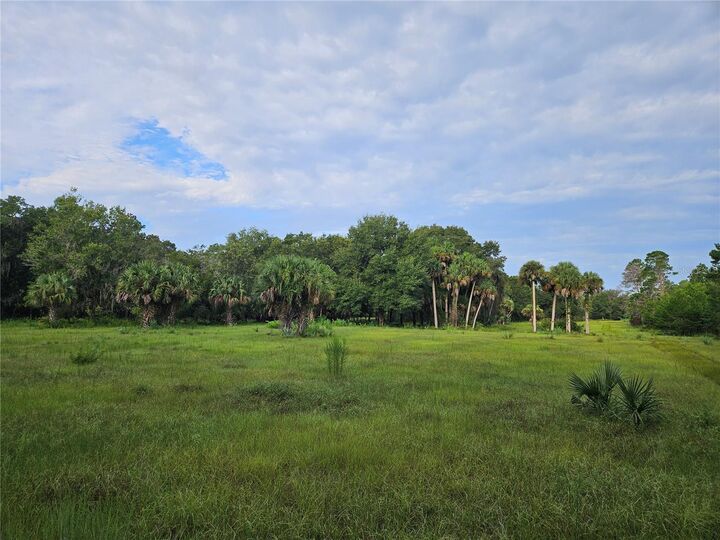 Property Photo: Snow Hill Rd Road FL 32732