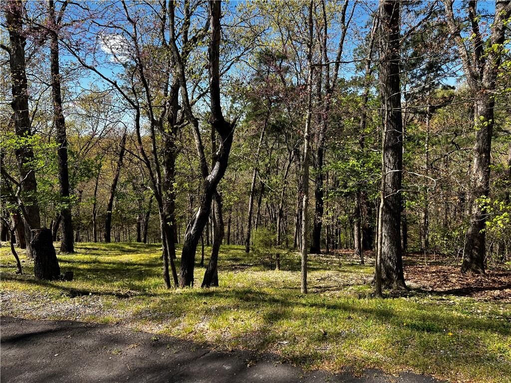 Property Photo:  Kenilworth Drive  AR 72714 
