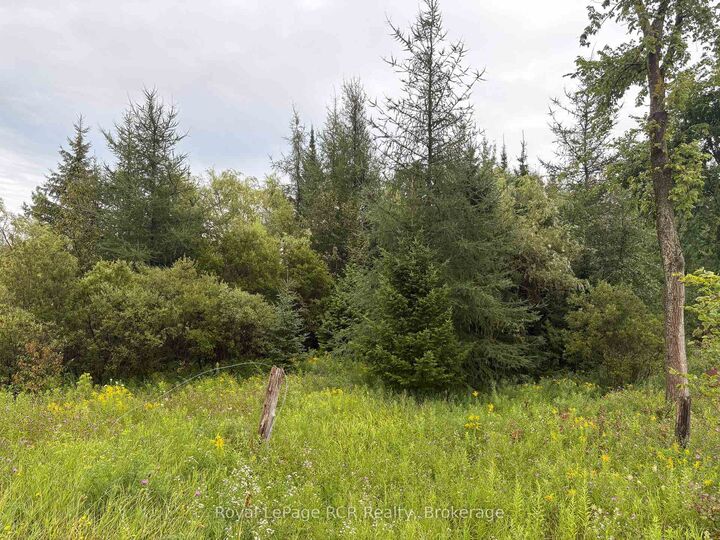 Property Photo:  Pt Lt 13 Grey Road 4 N/A  ON N0C 1K0 