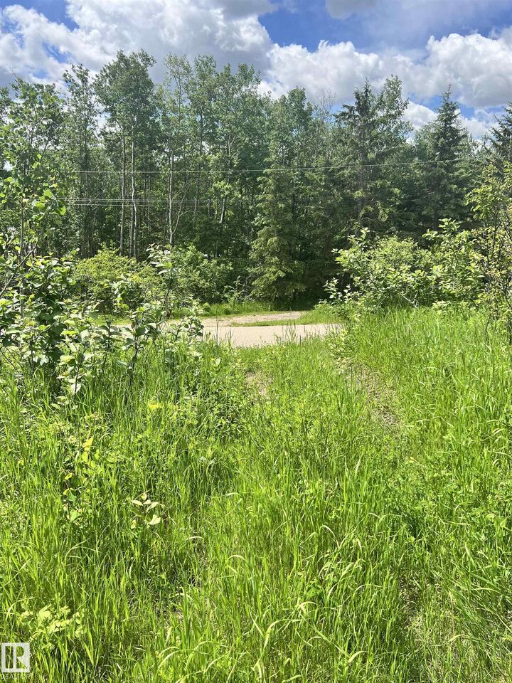 Property Photo:  62 Coney Drive  AB T0A 3A0 