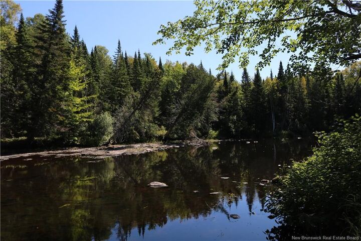 Property Photo: 47 Acres North Barnaby Road NB E1N 6G4