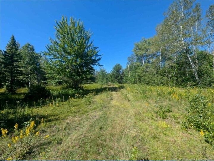 5569 Route 134 — photo 1