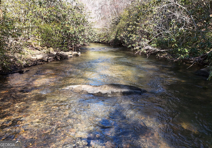 Property Photo:  150 Donna Lee Lane  GA 30559 