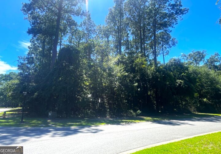 Property Photo: 700 South Point Boulevard GA 31558